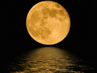 Участием в программе США по освоению Луны заинтересовались 26 стран