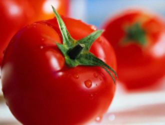 Создан сорт помидоров для выращивания на Марсе