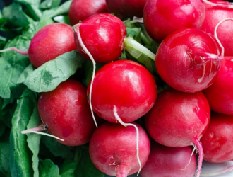 Экипаж МКС на Новый год съел редис, выращенный американцами в космосе