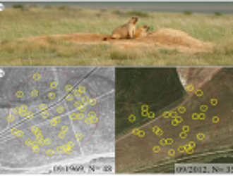 Космонавт Артемьев передал Музею космонавтики копию Знамени Победы
