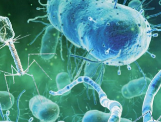 Ученые обнаружили на МКС более 20 видов микроорганизмов