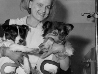 Роскосмос опубликовал рассекреченные материалы по полету собак Ветерок и Уголек