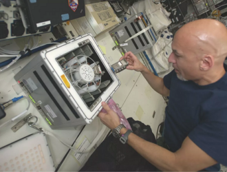 Добывать в космосе редкие металлы предложили с помощью бактерий