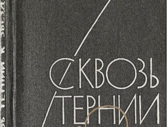 Сквозь тернии к звездам