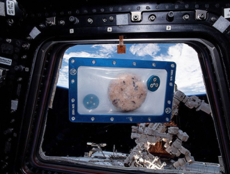 Российские космонавты приготовили новогодние подарки астронавтам на МКС