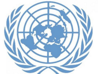 США потребовали созыва Совета безопасности ООН в связи с запуском иранского спутника