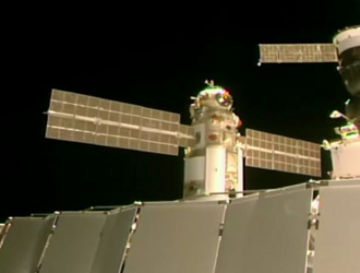 В модуле «Наука» начнут эксперимент по изучению эмбрионов перепелов в космосе в 2022 году