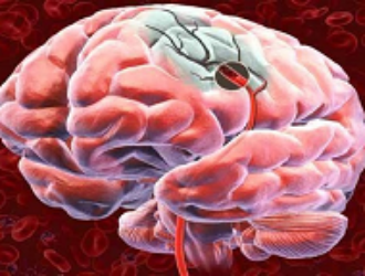 Обнаружена еще одна опасность космического полета — обратный ток крови