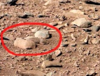 Марсоход Curiosity «разглядел» на Красной планете сурка