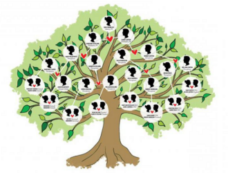 Рогозин заявил, что Роскосмос очищает отрасль от родственных кланов