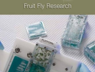 A Researcher’s Guide to: Fruit Fly Research