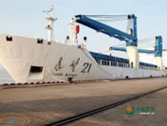 Суда «Юаньван-21» и «Юаньван-22» прибыли в Тяньцзинь