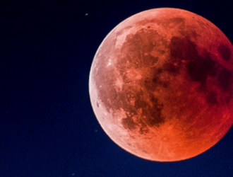 Возвращение домой