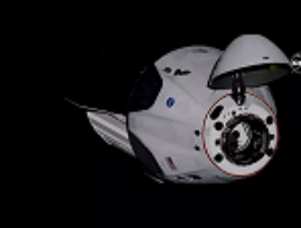 Crew Dragon с астронавтами НАСА вернется на Землю в августе