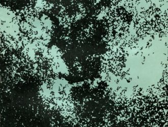 Физика звезд  — 3-е изд.