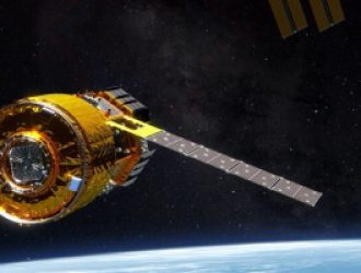 Дальневосточный аист-X