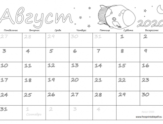 Космическая статистика: август 2020 г.