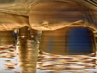 Компания Firefly провела успешное огневое испытание ракеты Alpha