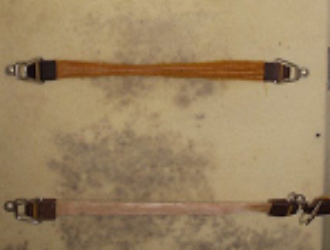 Российский космонавт рассказал, как себя чувствует плесень на МКС