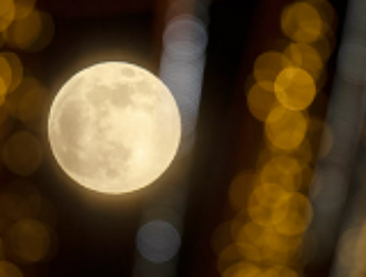 В Берлине не стали комментировать сообщения о планах США насчет Луны