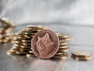 SpaceX в 2022 году отправит к Луне спутник, оплаченный криптовалютой Dogecoin