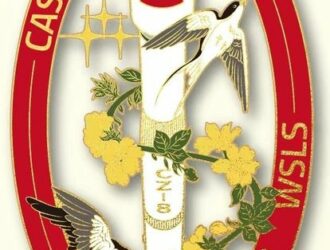 22 китайских спутника с Вэньчана