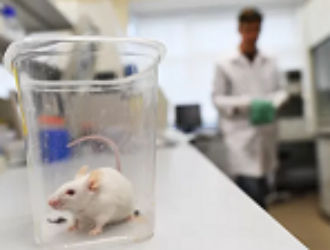 Ученые впервые пересадят крысам «напечатанную» в космосе костную ткань