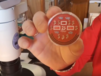 Новосибирский Левша отправит мини-копии Знамени Победы в космос