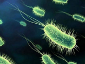 Напечатанная на биопринтере МКС бактерия перестала бояться антибиотиков