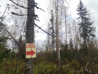 В Прикамье ищут волонтеров для создания туристической тропы к месту посадки космонавтов Леонова и Беляева