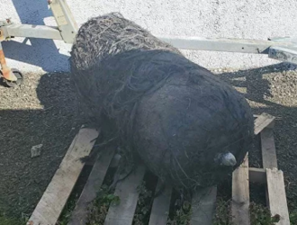 В Орегоне нашли объект, похожий на фрагмент космического аппарата