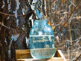 Спасатели встретят возвращающийся на Землю «киноэкипаж» березовым соком