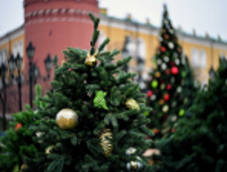 Новогодние гуляния в центре Москвы посвятят освоению космоса