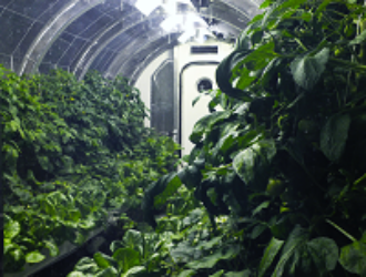 Томские ученые разработают автономную теплицу для космоса