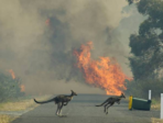 Экипаж МКС ужаснулся масштабам пожаров в Австралии