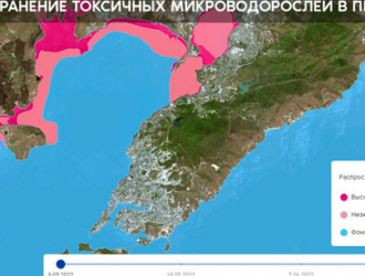 Спутники Роскосмоса наблюдают за красными приливами в Приморье