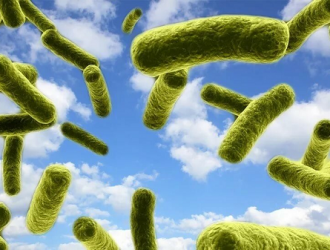 Ученые хотят использовать ракеты для изучения микроорганизмов в атмосфере